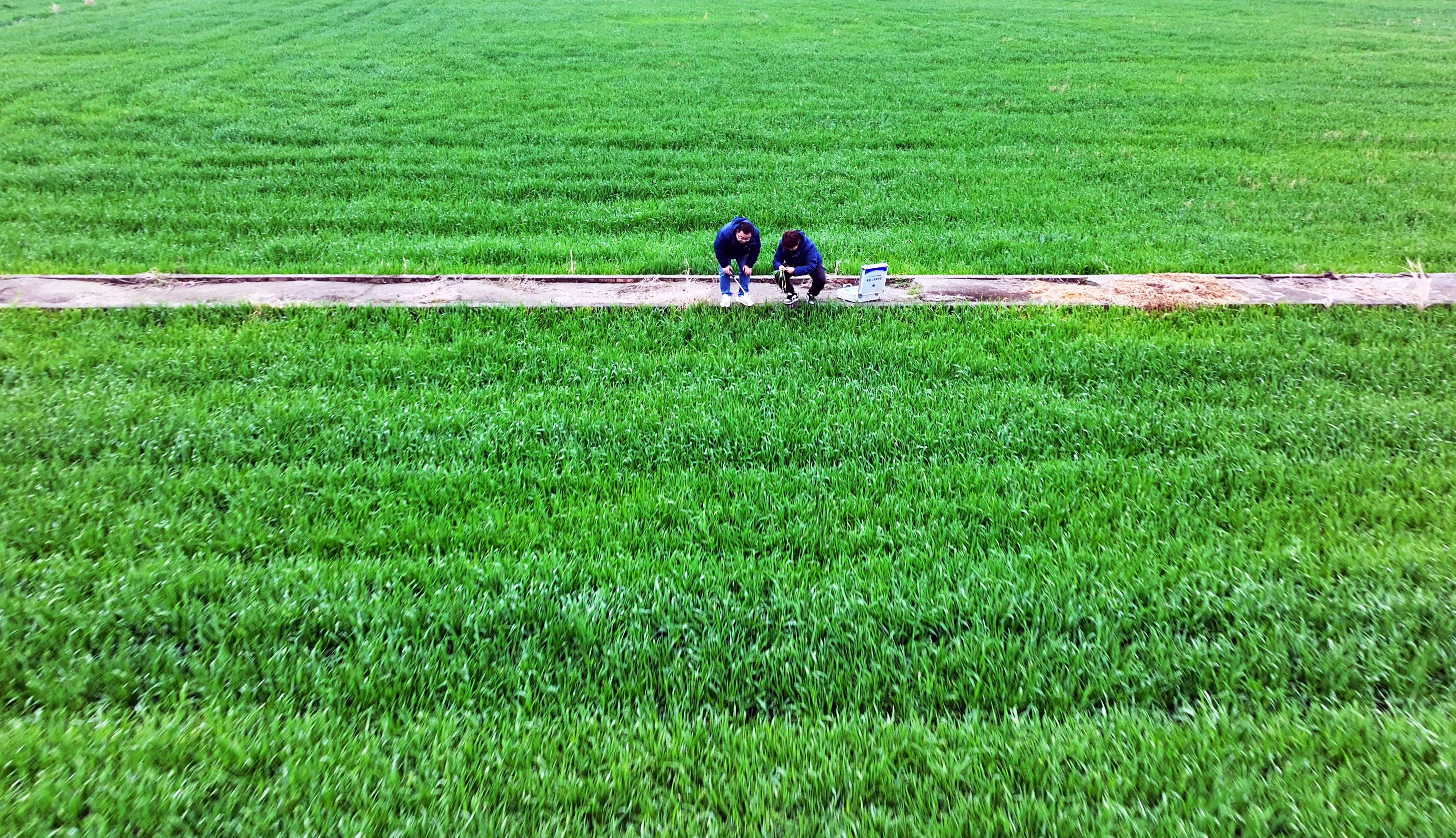 服務(wù)春耕：農(nóng)化服務(wù)當(dāng)先鋒添動(dòng)力