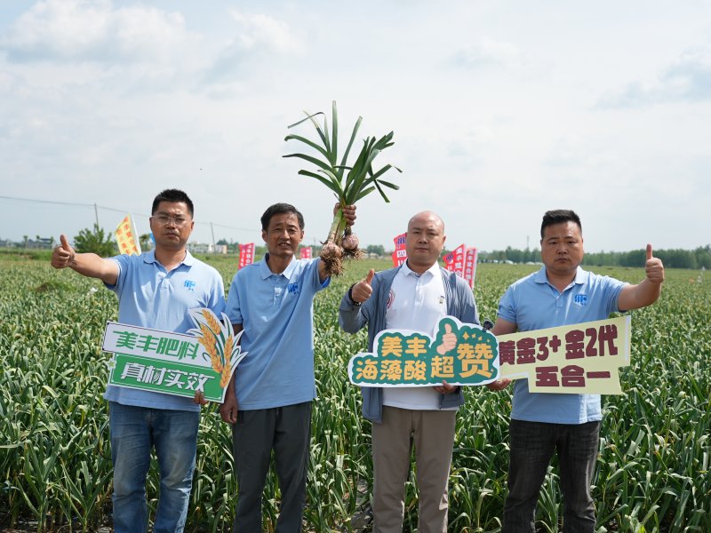 夏攻行動：四川美豐護航夏糧豐產(chǎn)豐收